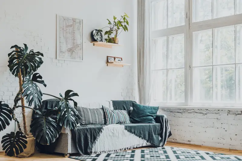 Bright living room with freshly painted walls